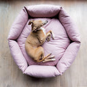 An overhead view of a dog lying very calm and conten in pink donut dog bed 
