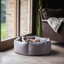A calm dog lying in a lxury donut dog bed in beige in a home setting with wooden floor and a large window backdrop.