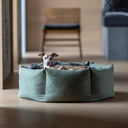A dog lying in a calming donut dog bed in a green outer fabric in a modern home setting.
