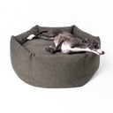 A dog sleeping in a high-sided, calming donut dog bed made with a dark brown/black woven upholstery fabric on a white backdrop.