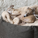 Close up shot of two dogs cuddled together on a beige sherpa fleee dog blanket in a high-sided, calming dog donut bed made with a dark brown/black woven upholstery fabric.