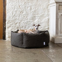 A dog lying calm and content in a dark brown/black luxury dog donut bed with high sides ina home setting with whitewashed wall and stone floor.