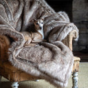 Picture of an Italian Greyhound settled and calm sitting on a Foxy Faux Fur Blanket that shows the warm brown and red tones of the blanket.