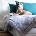 Picture of an Italian Greyhound resting and settled on a pale purple Lilac Rabbit Faux Fur Blanket that is machine washable. 