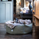A black and white Italian Greyhound nestled on a cosy Oatmeal Faux fur dog blanket in deep sided donut style dog bed on a parquet floor in a contemporary home setting.