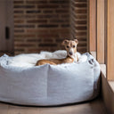 An Italian Greyhound resting on a fluffy cream faux fur dog blanket in Polar Bear placed inside a high sided donut style bed with a brick wall in the background next to a window.