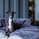 A black dog lying on a plush machine washable faux-fur dog blanket in a grey blue colour called Russian Blue in a home setting. with wooden panelled wall.