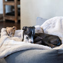 machine washable dog blanket - the lxury faux-fur dog blanket in Silver Mink with two dogs sleeping.