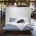 A black dog sleeping very cosy on a lxuury Faux-Fur Dog Blanket in Silver Mink by designers Cahrley Chau on a dark grey luxury dog bed in a home setting with dark wooden floor.
