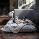 Two dogs lying on a soft faux-fur dog blanket on a luxury dog bed mattress  ina home setting at the end of sofa on a dark wooden floor.
