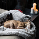 Two dogs sleeping very calm and content on a soft faux-fur dog blanket on a sofa with three candles in the background.