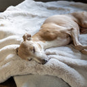 A dog sleeping calm and content on a pale grey faux-fur dog blanket that is soft and cosy.