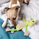 Italian Greyhound dog playing with an enivironmentally friendly frog-shaped dog toy made from natural suede in a jade green dog bed with pale grey faux-fur dog blanket.