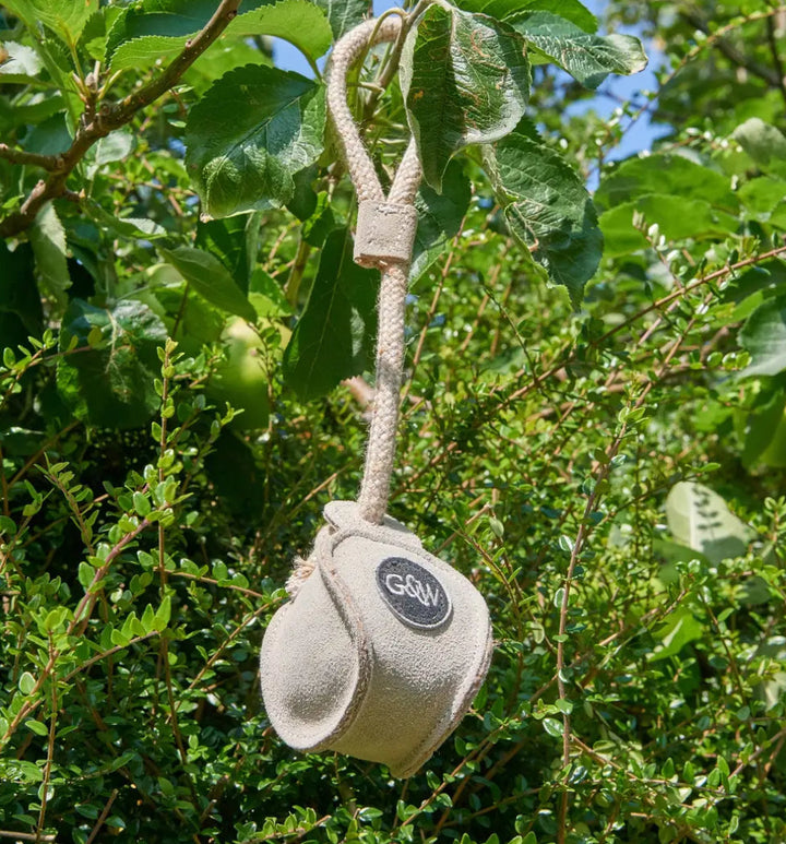 Chuck ball hanging on a tree.
