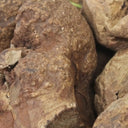 Close-up the Wild Root chew