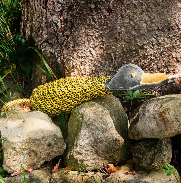 Duck dog toy on rocks and a tree trunk in the background