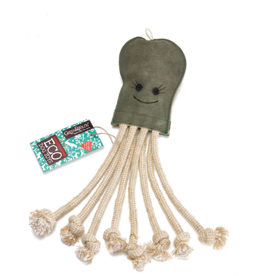 Green dog toy with string-like extensions to make an octopus on a white background