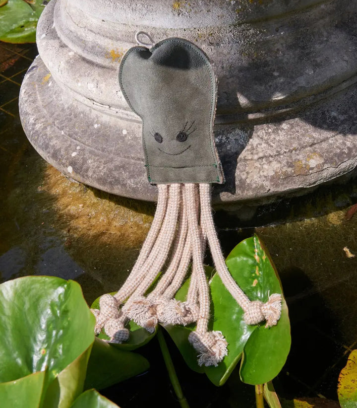 Olive the octopus sitting in a pound on a Lilly leaf.