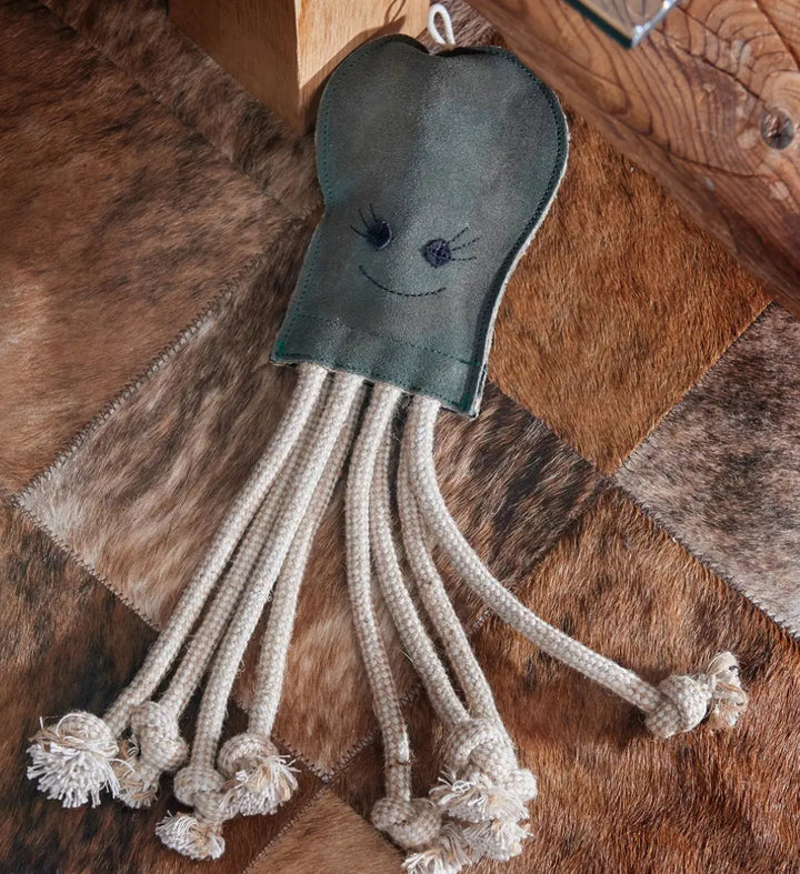Olive the octopus sting on a rug