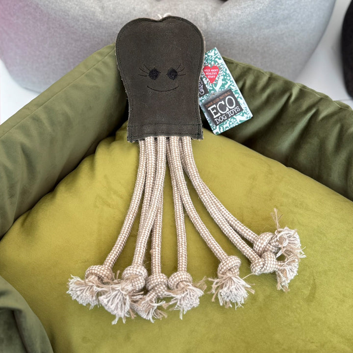 Eco-friendly dog toy shaped like an octopus in dark green with long rope legs, sitting in a green velvet dog bed.