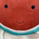 Close-up of Watermelon shaped dog toy with a red smiling face