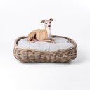 A dog lying on a luxury dog bed mattress in a grey rattan dog basket with a pale grey mattress on a white background.