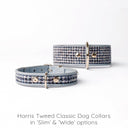 Harris Tweed Classic Slim Dog Collar by Holly&Lil - Charley Chau - luxury dog bedding