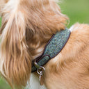 Harris Tweed Classic Wide Dog Collar by Holly&Lil - Charley Chau - luxury dog bedding