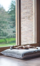 A cool and comfortable dog lying stretched on a large grey luxury dog bed mattress in grey velvet in a home setting with large windows.