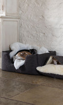 Three dogs sleeping very cosy in two designer dog beds  in a room with white stone walls and stone floor.