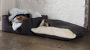 Three dogs sleeping very cosy in two designer dog beds  in a room with white stone walls and stone floor.