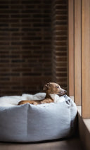 A dog lying in a luxury donut dog bed in pale blue with a white faux-fur blanket in an architectural home setting with modern brick wall in the background.
