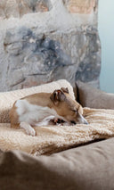 <h1>Save 20% on<em> blanket bundles</em></h1>