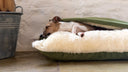A small dog sleeping inside a burrow bag style snuggle dog bed with a velour leaf green outer cover and plush, cosy cream faux-fur lining.