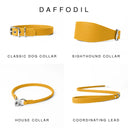 Four YELLOW leather dog collars and a coordinating lead shown on a white background under the heading 'DAFFODIL'. The products are labelled Classic Dog Collar, Sighthound Collar, House Collar, and Coordinating Lead.