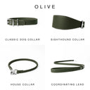 Four olive green leather dog collars and a coordinating lead shown on a white background under the heading 'OLIVE'. The products are labelled Classic Dog Collar, Sighthound Collar, House Collar, and Coordinating Lead.