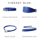 Four BRIGHT BLUE leather dog collars and a coordinating lead shown on a white background under the heading 'VIBRANT BLUE'. The products are labelled Classic Dog Collar, Sighthound Collar, House Collar, and Coordinating Lead. Hand-crafted by Petiquette Collars in England for a quality leather dog collar that is made to last.