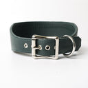 A picture of a calf leather Greyhound Collar from the rear showing the stainless steel buckle.