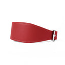A RUBY RED Leather Greyhound & Lurcher Whippet Dog collar made to fit any sighthounds and long dog breeds with a wide front that tapers to the back for comfort and safety. The Leather Greyhound Collar is made-to-order in England from fine Italian Calf Leather for a dog collar made to last. 