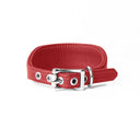A RED Leather Italian Greyhound Dog Collar, with a sighthound collar cut where the front is wider than the back. The Italian Greyhound Collar is handcrafted in England and made to last from fine Italian Calf Leather available in eighteen colours.