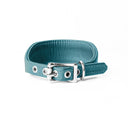 A TEAL Leather Italian Greyhound Dog Collar, with a sighthound collar cut where the front is wider than the back. The Italian Greyhound Collar is handcrafted in England and made to last from fine Italian Calf Leather available in eighteen colours.