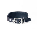 A DARK BLUE Leather Italian Greyhound Dog Collar, with a sighthound collar cut where the front is wider than the back. The Italian Greyhound Collar is handcrafted in England and made to last from fine Italian Calf Leather available in eighteen colours.