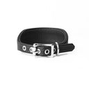 A BLACK Leather Italian Greyhound Dog Collar, with a sighthound collar cut where the front is wider than the back. The Italian Greyhound Collar is handcrafted in England and made to last from fine Italian Calf Leather available in eighteen colours.