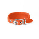 A BRIGHT ORANGE Leather Italian Greyhound Dog Collar, with a sighthound collar cut where the front is wider than the back. The Italian Greyhound Collar is handcrafted in England and made to last from fine Italian Calf Leather available in eighteen colours.