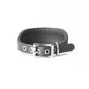 A GREY Leather Italian Greyhound Dog Collar, with a sighthound collar cut where the front is wider than the back. The Italian Greyhound Collar is handcrafted in England and made to last from fine Italian Calf Leather available in eighteen colours.