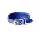 A BRIGHT BLUE Leather Italian Greyhound Dog Collar, with a sighthound collar cut where the front is wider than the back. The Italian Greyhound Collar is handcrafted in England and made to last from fine Italian Calf Leather available in eighteen colours.