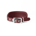 A BURGUNDY Leather Italian Greyhound Dog Collar, with a sighthound collar cut where the front is wider than the back. The Italian Greyhound Collar is handcrafted in England and made to last from fine Italian Calf Leather available in eighteen colours.