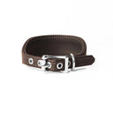 A DARK BROWN Leather Italian Greyhound Dog Collar, with a sighthound collar cut where the front is wider than the back. The Italian Greyhound Collar is handcrafted in England and made to last from fine Italian Calf Leather available in eighteen colours.