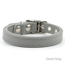 A classic style Leather Puppy Collar handmade to order for the perfect fit in calf leather shown in Dove Grey.