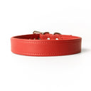 Picture of a classic style Leather Puppy Collars by Petiquette handmade to order for the perfect fit in calf leather. 